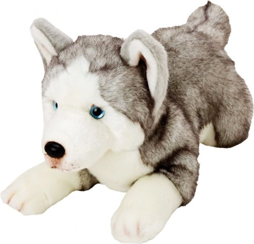 Perro de peluche Husky