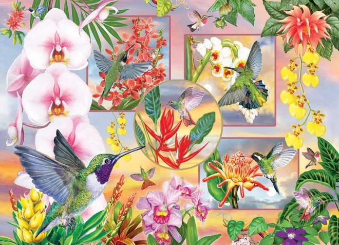 Puzzle Colibríes 500 piezas