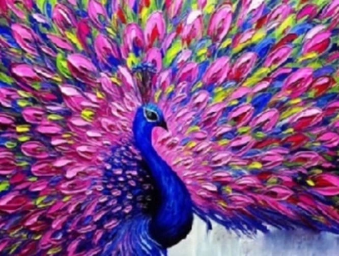 Norimpex Pintura por números pavo real con cola rosa 40 × 50 cm