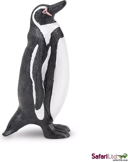 Pingüino de Humboldt