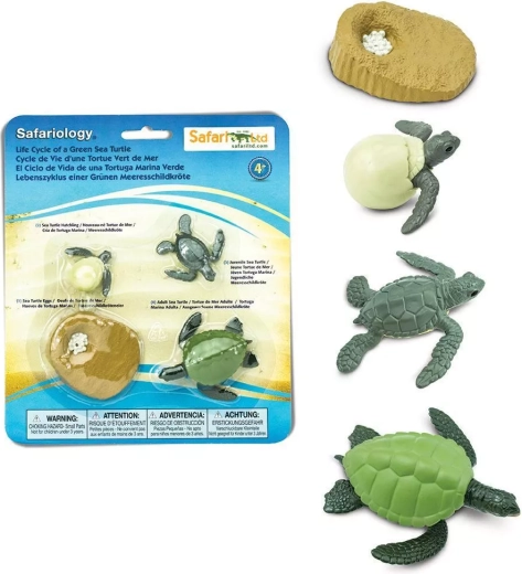 Safari Ltd. ciclo de vida de la tortuga marina