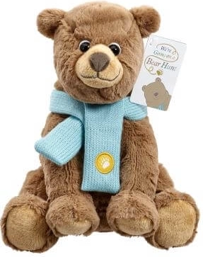 Oso de peluche con bufanda azul
