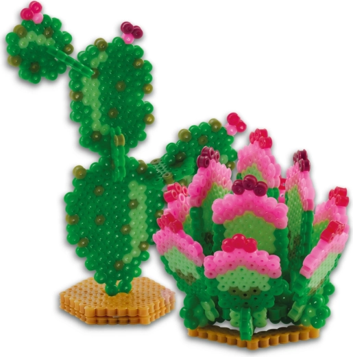 Efecto 3D para cactus y suculentas impresionantes