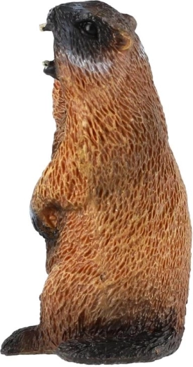 Tamaño compacto