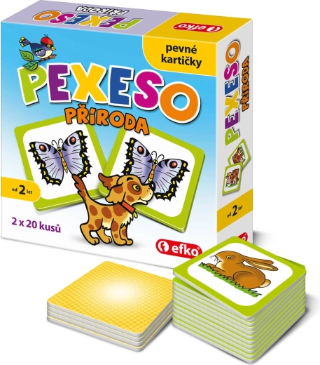 Efko baby memorización medios de transporte