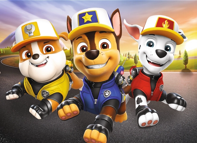 Puzzle miniMAXI PAW PATROL 20 piezas Trefl