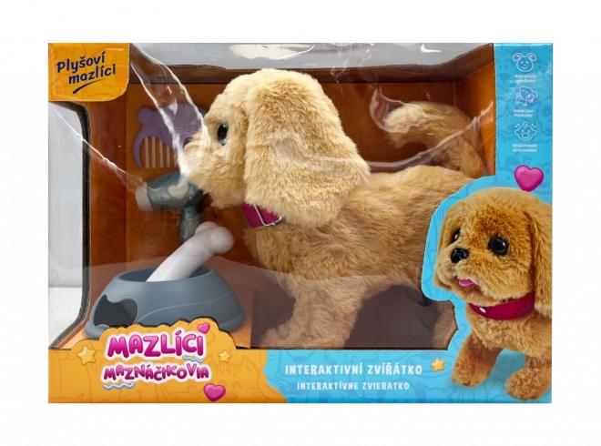 Set de juego de peluches – perrito Alík beige