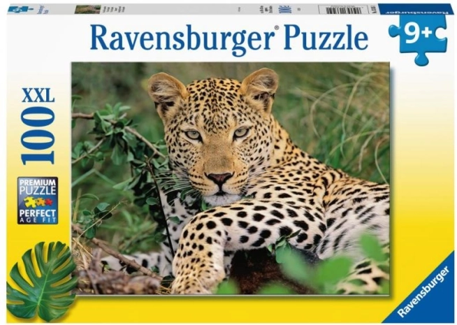 Puzzle RAVENSBURGER leopardo – 100 piezas