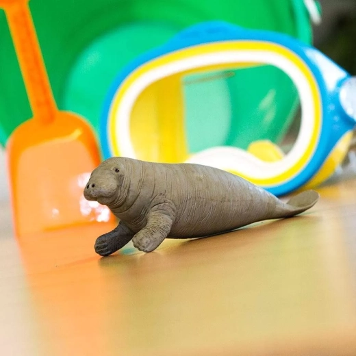 Tamaño ideal para la mano infantil y para exhibición
