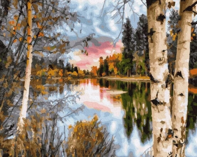 Pintura de diamantes Abedules en la orilla del lago 30 × 40 cm