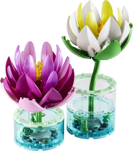Dos flores de nenúfar para construir