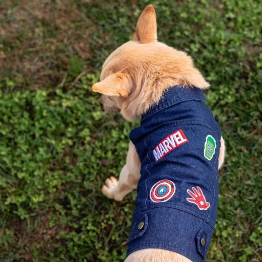 Para paseos y días más fríos