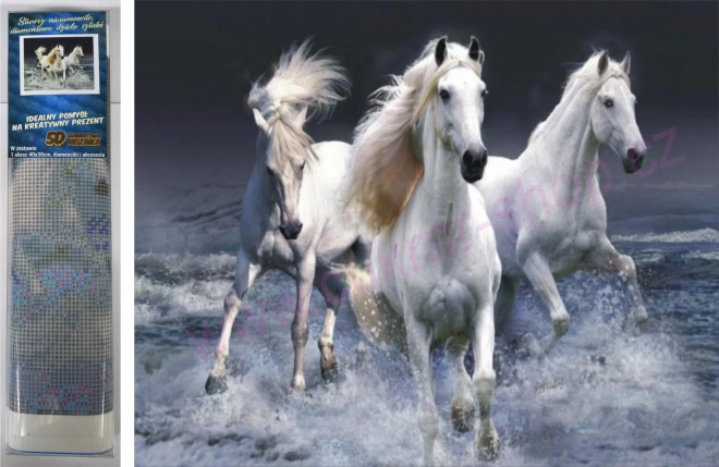 Norimpex pintura de diamantes Focas revolcándose 30 × 40 cm