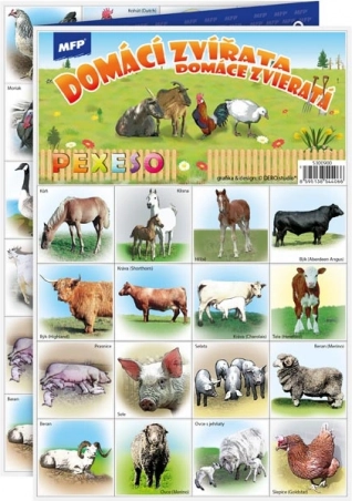 Memoria Animales domésticos