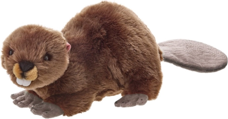 Castor de peluche de 50 cm