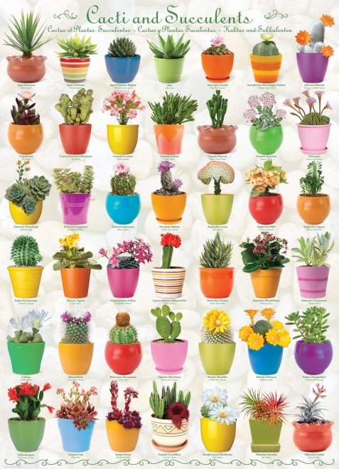 Puzzle EUROGRAPHICS cactus y suculentas, 1000 piezas