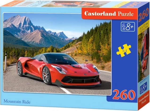 Puzzle Paseo por la montaña