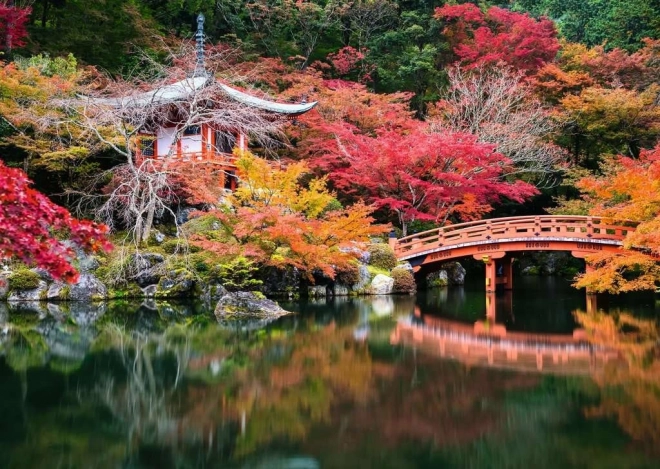 Puzle de 1000 piezas – jardín Daigo-ji, Kioto, Japón