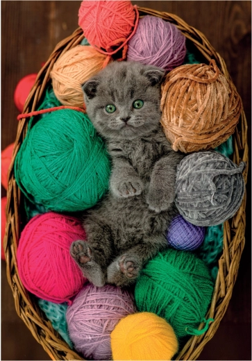 Puzzle de gatito peludo 500 piezas CLEMENTONI