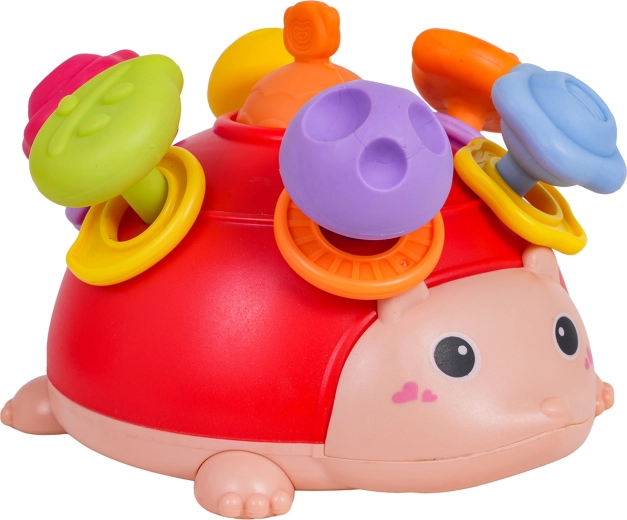 Aros sonoros y divertido encaje