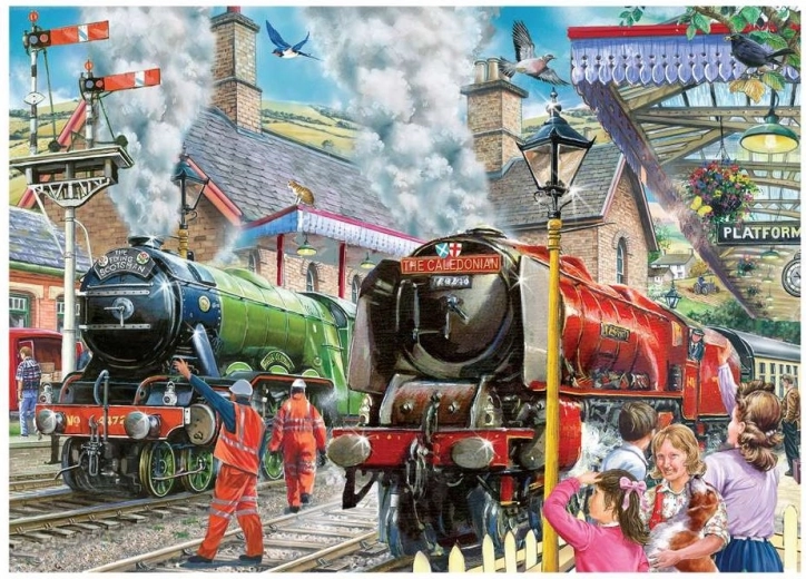 Puzzle House of Puzzles Salida de trenes 1000 piezas