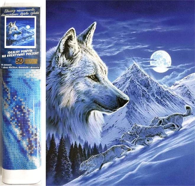 Pintura con diamantes Cazadores nocturnos 30 × 40 cm