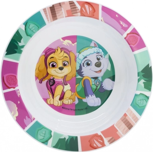 Cuenco infantil con motivo de PAW PATROL