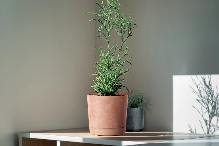 Acento elegante para interiores modernos y tradicionales