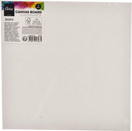Lienzo de pintura 25 × 25 cm, set de 3 uds