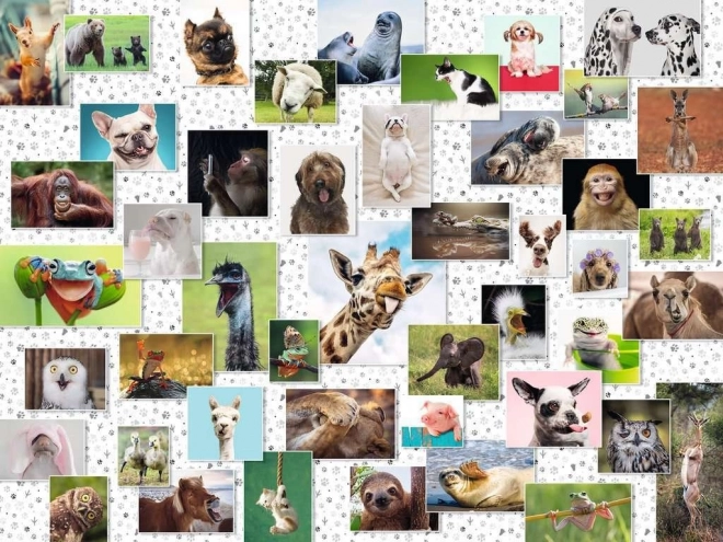 Puzzle Ravensburger Funny Animals Collage, 1500 piezas
