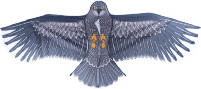Diseño realista de águila