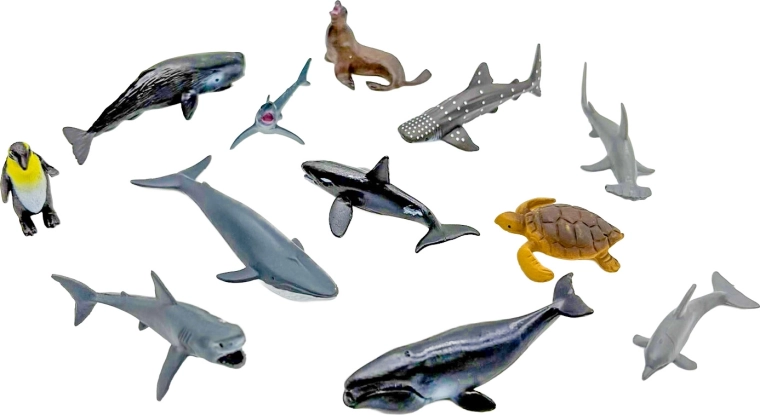 Figuritas para jugar y aprender