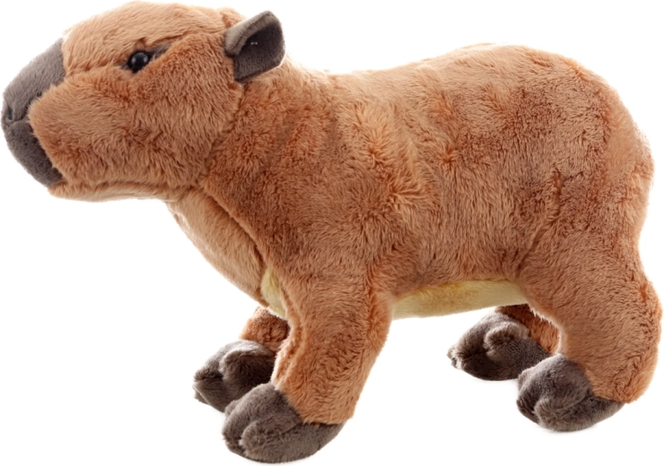 Segura desde el nacimiento