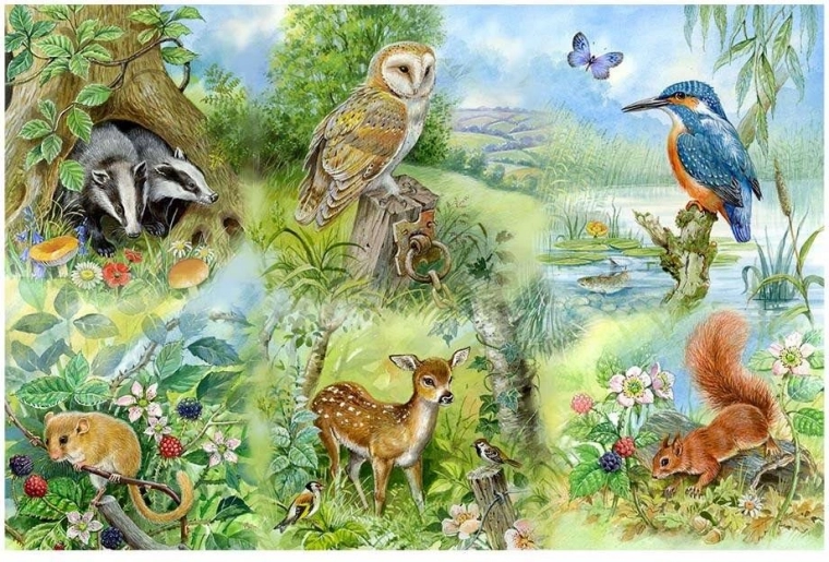 Puzzle Estudio de la naturaleza de 250 piezas