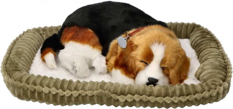 Cachorro beagle respirando Perfect Petzzz