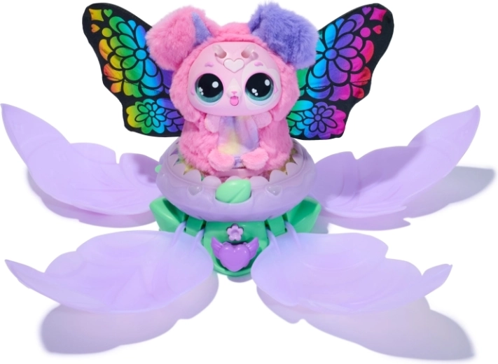 Transformación en una mariposa de colores