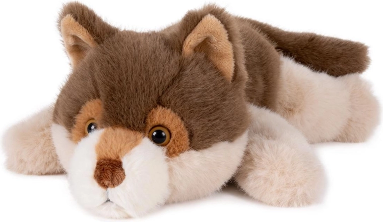 Aspecto realista del lobo del bosque