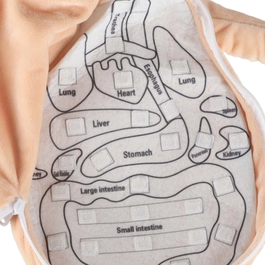Barriguita con cremallera y distribución clara