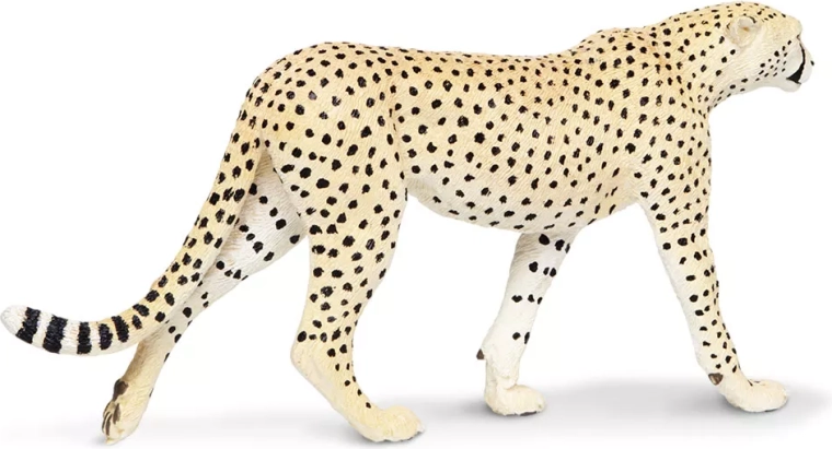 Calidad de la marca Safari Ltd.