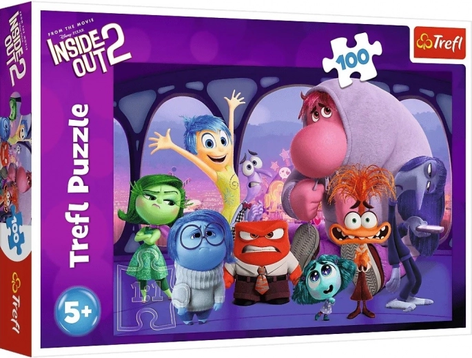 Puzzle de 100 piezas DEL REVÉS 2