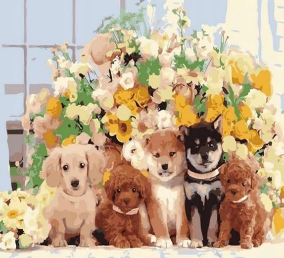 Norimpex Pintura por números Perros 40 × 50 cm