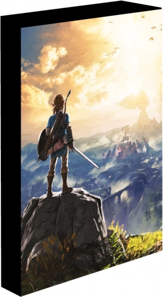 Cuadro LED iluminado 30x40 cm Zelda