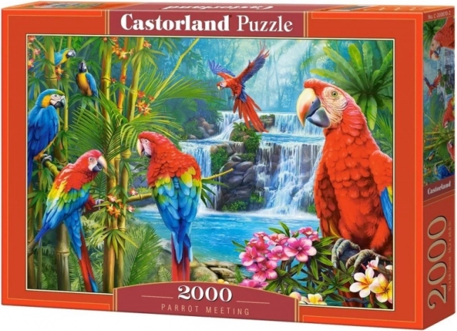 Puzle de 2000 piezas Parrot Meeting
