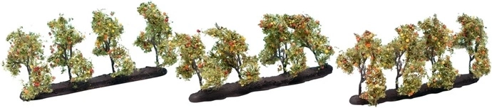 Manzano Noch con frutos 3,5 cm (12 uds)