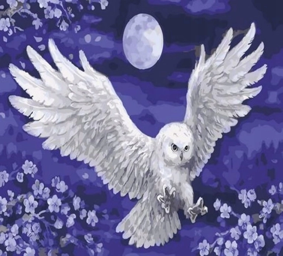 Norimpex pintura por números Búho y luna 40 × 50 cm