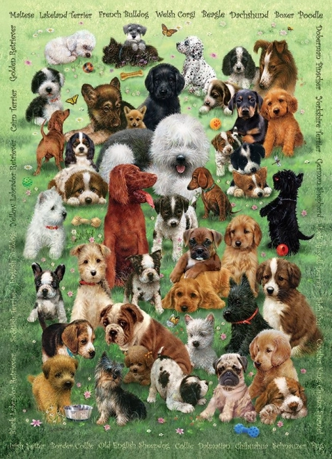 Puzzle familiar COBBLE HILL Amor de cachorros – 350 piezas