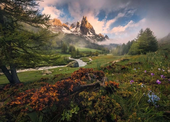 Puzzle RAVENSBURGER Naturaleza en Vallée 1000 piezas