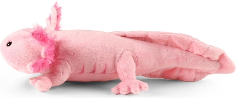 Tamaño 34 cm para pequeños y grandes abrazadores