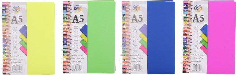 Cuaderno A5 de espiral con líneas, 100 páginas