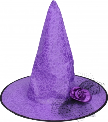Set de carnaval: sombrero de bruja morado